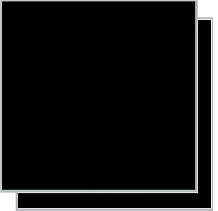 Black Ash Colour