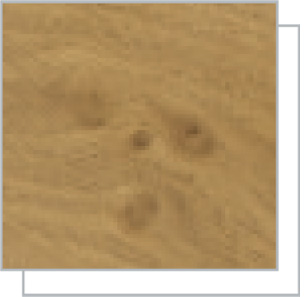 Irish Oak exterior with White interior