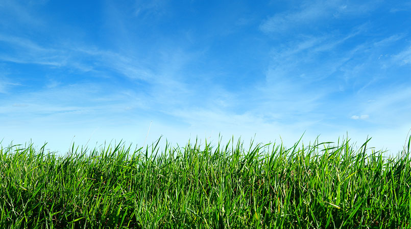 Environmentally Friendly Windows and Doors - Spartan Range